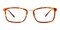 David Tortoise Rectangle Acetate Eyeglasses