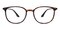 Park Tortoise Oval TR90 Eyeglasses