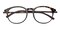 Collinsville Tortoise Classic Wayframe TR90 Eyeglasses