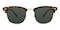 Avignon Tortoise Classic Wayframe Metal Sunglasses