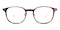 Wheaton Tortoise Classic Wayframe Acetate Eyeglasses