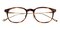 Wheaton Tortoise Classic Wayframe Acetate Eyeglasses