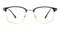Northport Black/Golden Classic Wayframe TR90 Eyeglasses
