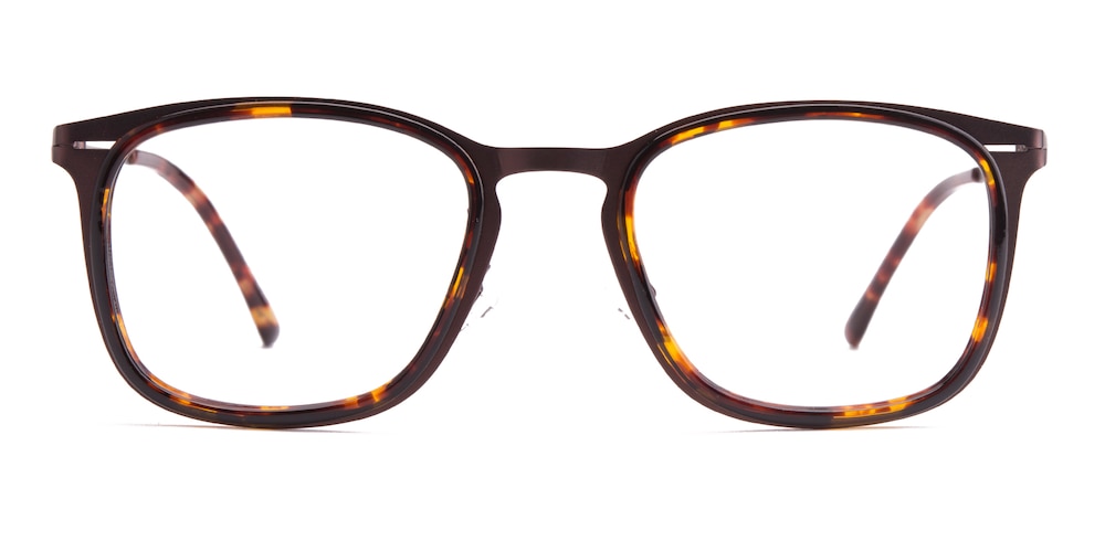 Allentown Tortoise Classic Wayframe TR90 Eyeglasses