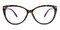 Jean Tortoise Cat Eye Plastic Eyeglasses