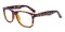 Winchester Tortoise Classic Wayframe Plastic Eyeglasses