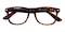 Winchester Tortoise Classic Wayframe Plastic Eyeglasses