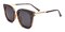 Albany Tortoise Square TR90 Sunglasses