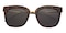 Albany Tortoise Square TR90 Sunglasses