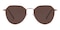 Harold Golden Classic Wayframe Metal Sunglasses