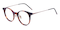 Denis Tortoise Rectangle Acetate Eyeglasses