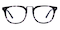 Paddy Black Tortoise Classic Wayframe Acetate Eyeglasses