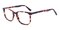 Lester Tortoise Rectangle Acetate Eyeglasses