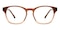 Newman Brown Square Acetate Eyeglasses