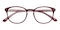 Noah Red Classic Wayframe Acetate Eyeglasses