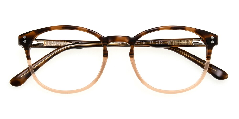 Noah Tortoise Classic Wayframe Acetate Eyeglasses