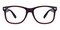 Winchester Brown Oval TR90 Eyeglasses