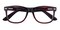 Winchester Brown Oval TR90 Eyeglasses