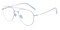 Robben Silver Aviator Titanium Eyeglasses