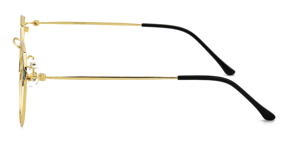 Hughes Black/Golden Round Titanium Eyeglasses