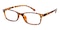 Evansville Tortoise Rectangle TR90 Eyeglasses