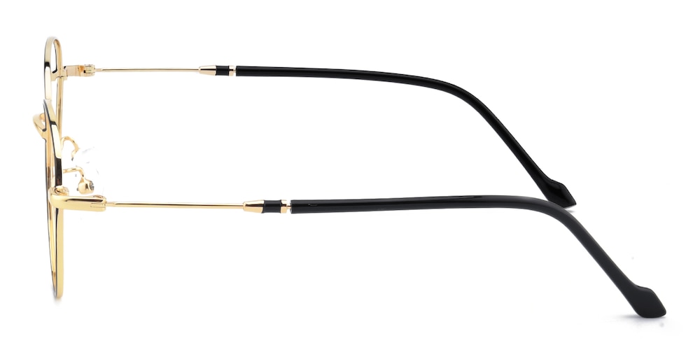 Oswego Black/Golden Round Metal Eyeglasses