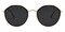 Pleasant Black/Golden Round Plastic Sunglasses
