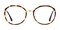 Stowe Tortoise/Golden Polygon TR90 Eyeglasses