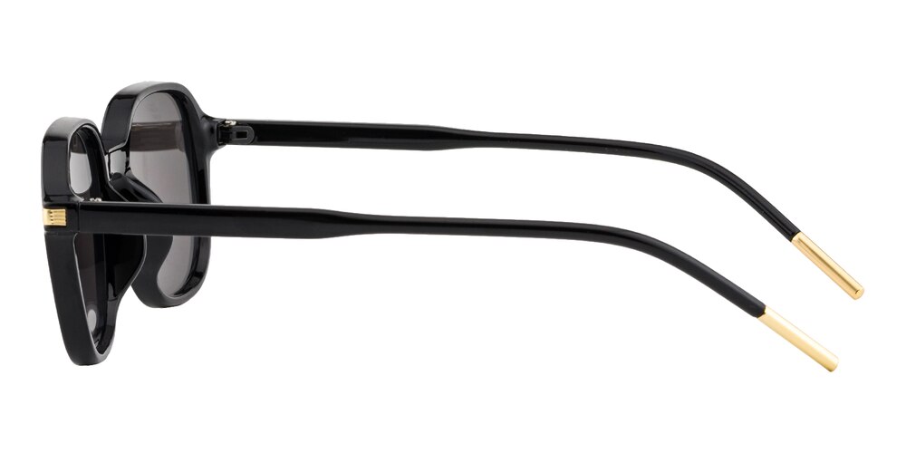 Sophy Black Classic Wayframe Plastic Sunglasses