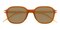 Sophy Orange Classic Wayframe Plastic Sunglasses