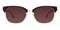 Noyes Brown/Tortoise Classic Wayframe Acetate Sunglasses