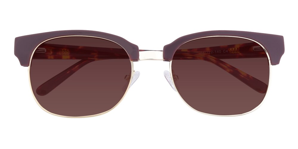Noyes Brown/Tortoise Classic Wayframe Acetate Sunglasses