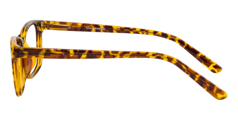 Morehead Tortoise Rectangle Plastic Eyeglasses