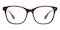 Minnie Tortoise Classic Wayframe Acetate Eyeglasses