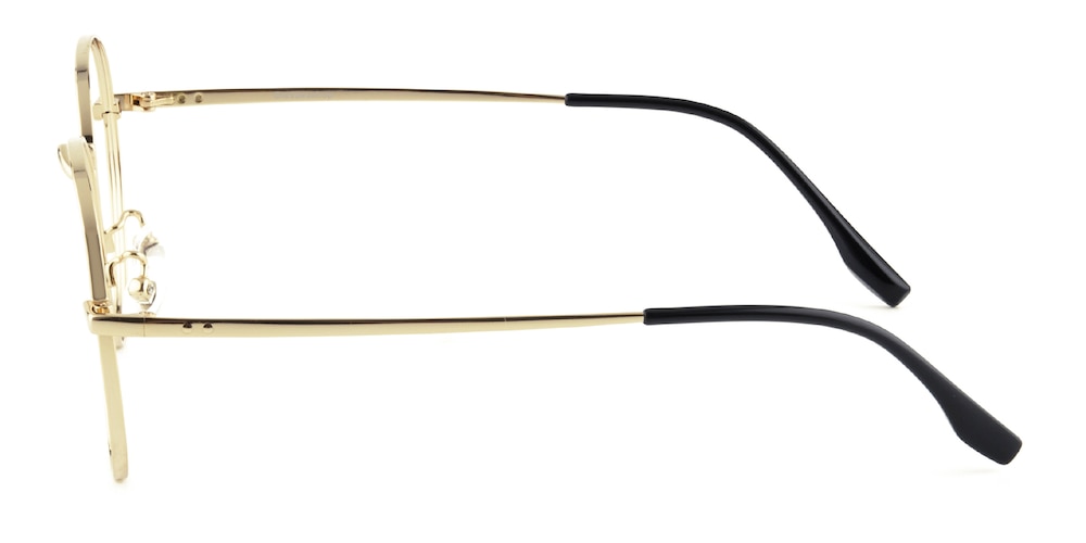 Dubois Golden Round Titanium Eyeglasses