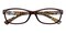 Albany Brown Rectangle TR90 Eyeglasses