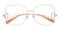 Akron Rose Gold Square Titanium Eyeglasses