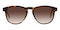 Downey Tortoise Classic Wayframe Acetate Sunglasses
