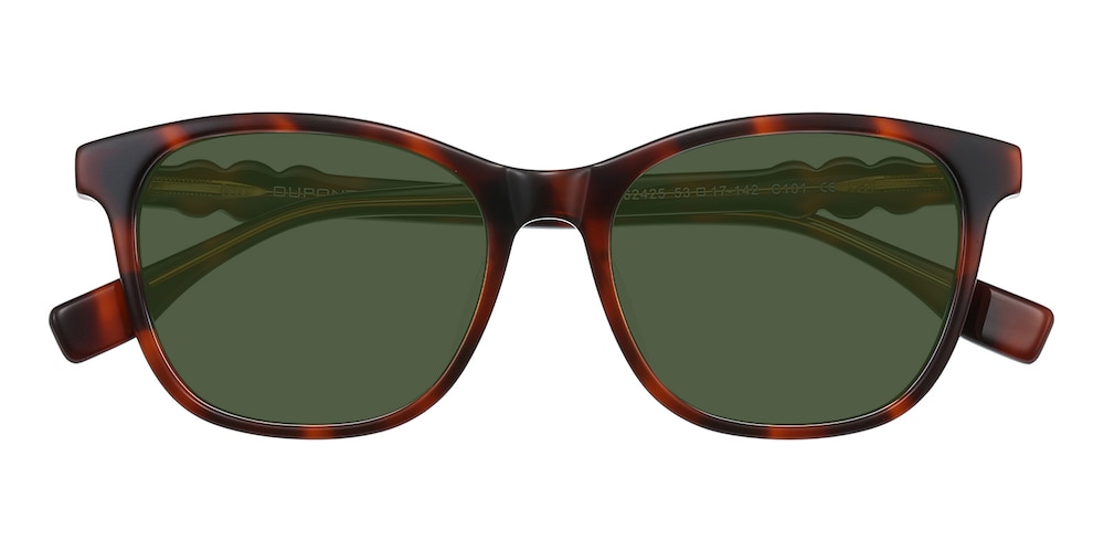Modesto Tortoise Classic Wayframe Acetate Sunglasses