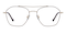 Aquarius Brown/Golden Aviator Stainless Steel Eyeglasses