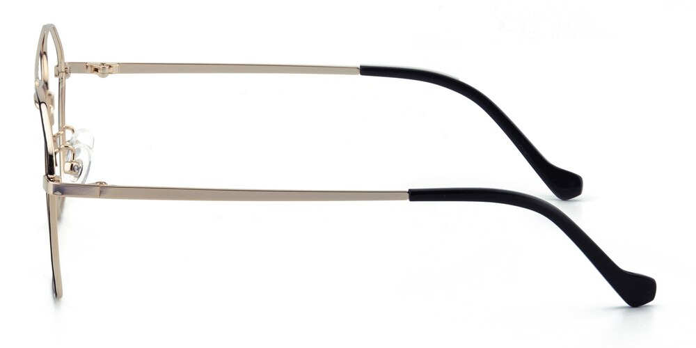 Aquarius Black/Golden Aviator Stainless Steel Eyeglasses