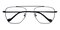 Capricorn Black Aviator Stainless Steel Eyeglasses