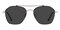 Reading Black/Golden Aviator Stainless Steel Sunglasses