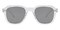 Concord Crystal Horn Plastic Sunglasses