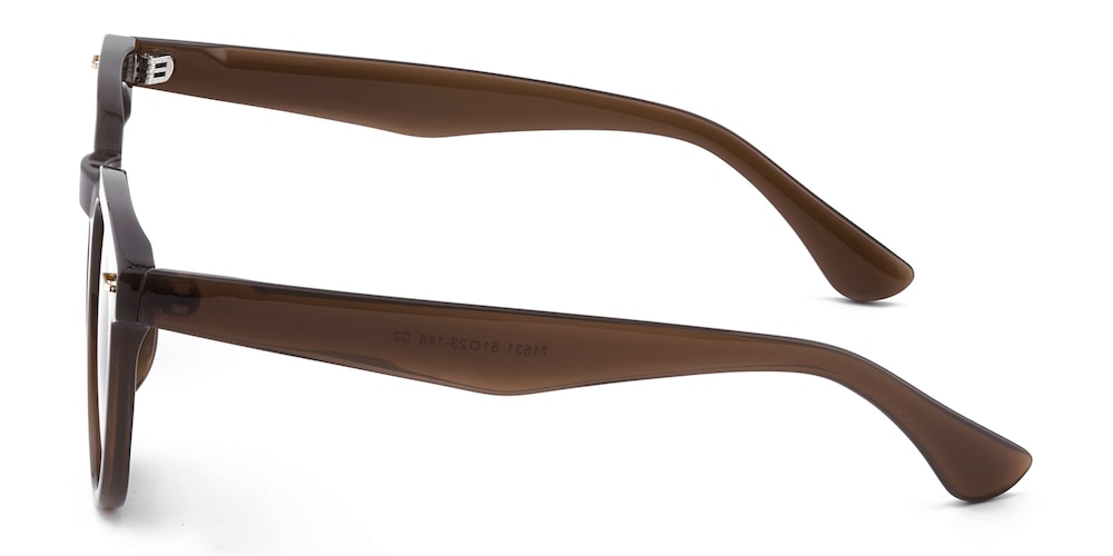 Bellevue Brown Horn Plastic Sunglasses
