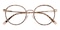 Westlake Tortoise/Golden Round Acetate Eyeglasses