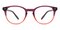 Kalamazoo Purple Round Acetate Eyeglasses