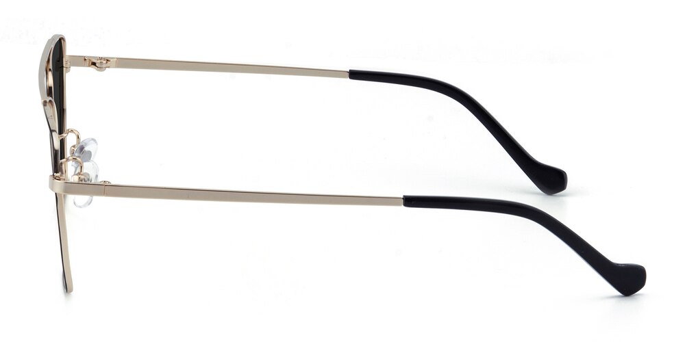 Johnson Black/Golden Aviator Stainless Steel Sunglasses