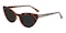 Candice Tortoise Cat Eye TR90 Sunglasses