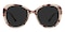 Quinn Petal Tortoise Cat Eye TR90 Sunglasses